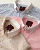 Blue Contrast-Collar Stripe Shirt