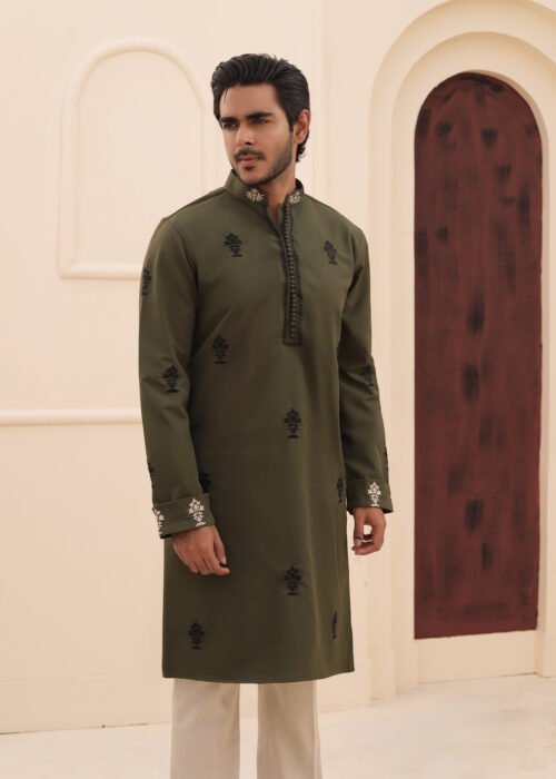 All Over Embroidery Punjabi - Olive Green