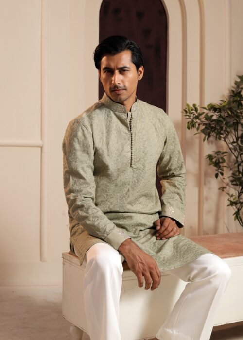 Patterned Chikankari Punjabi - Sage Green