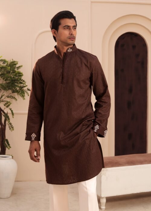 Patterned Chikankari Punjabi - Brown